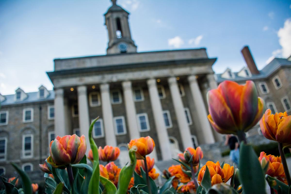 Old Main in Springtime with Tulips